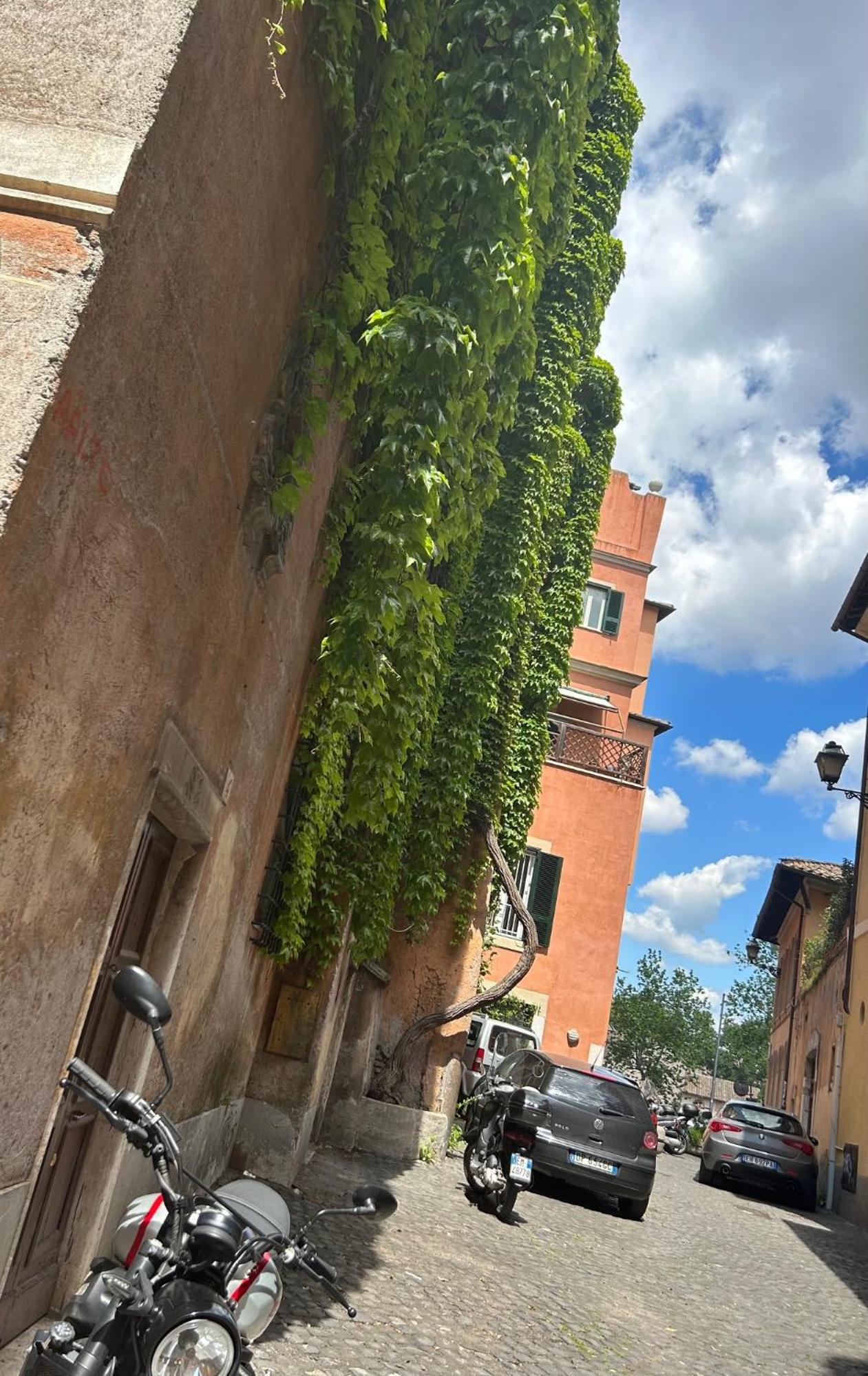 Garden House Trastevere Rome Bagian luar foto